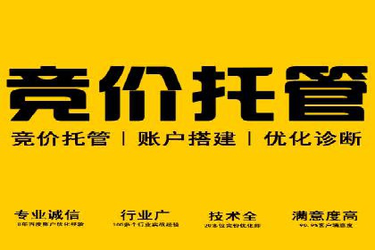 百度竞价SEM成功案例：揭秘广告投放秘诀